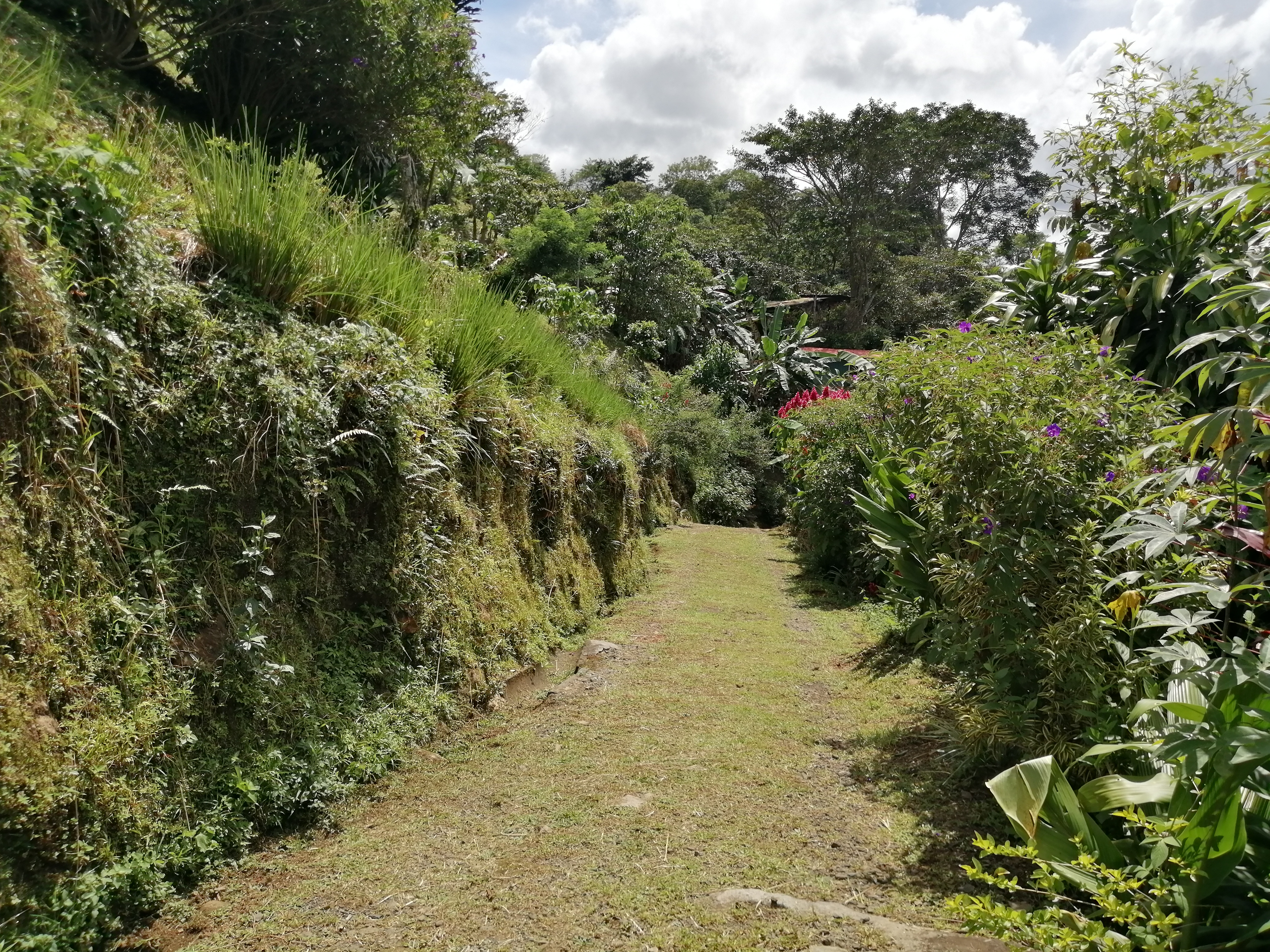 0 bed Land For Sale in Orotina, Alajuela - thumb 2