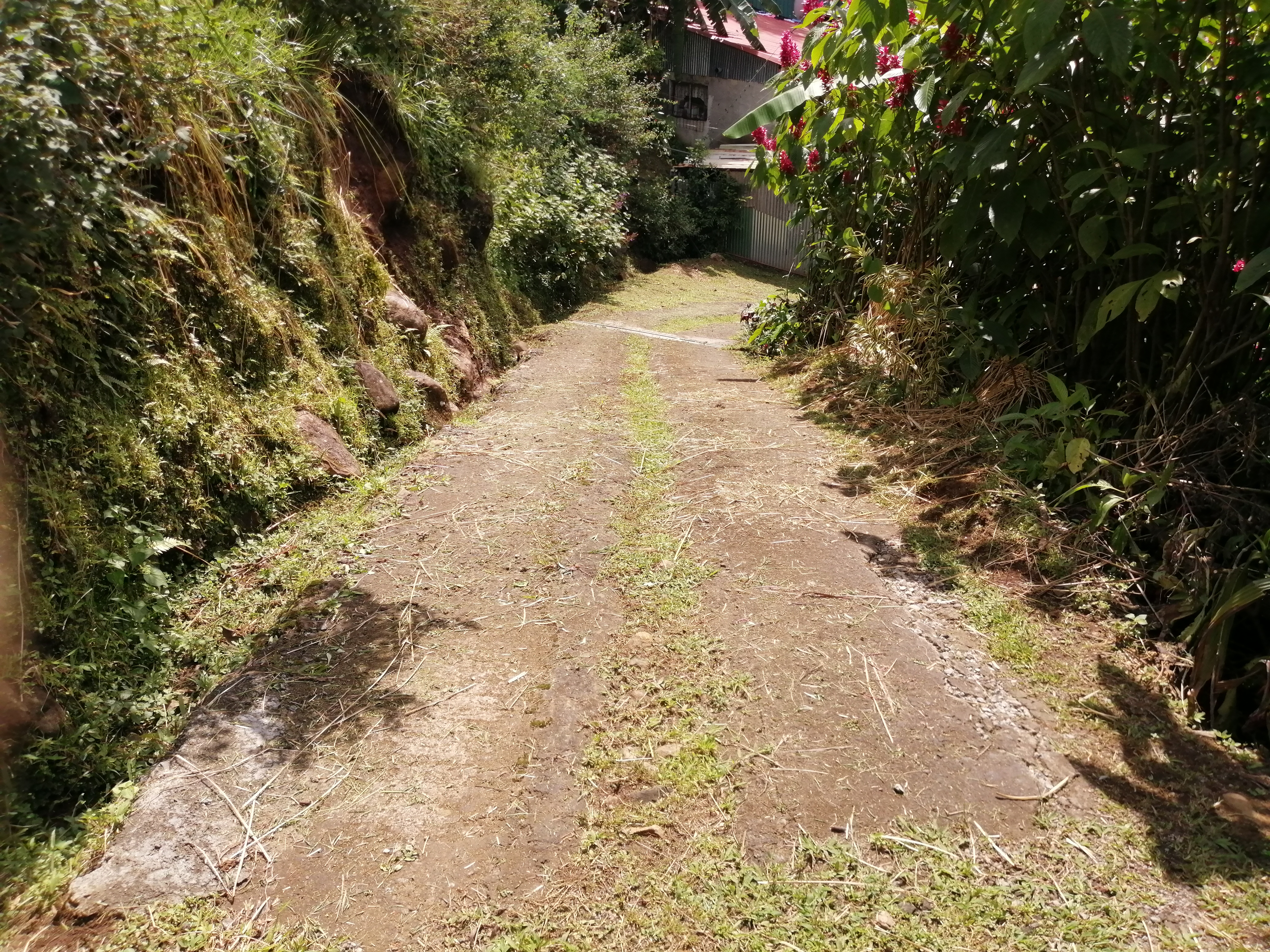 0 bed Land For Sale in Orotina, Alajuela - thumb 3