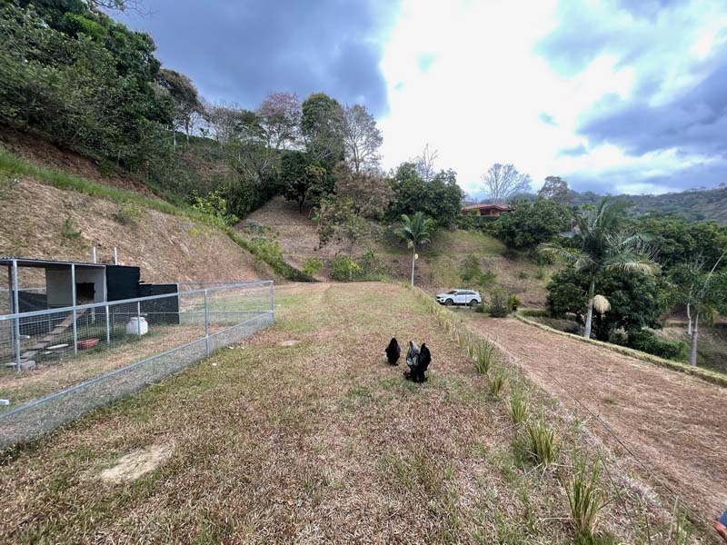 3 bed Single Family Homes For Sale in Atenas, Alajuela - thumb 19