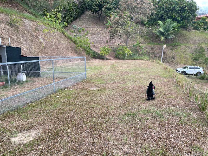 3 bed Single Family Homes For Sale in Atenas, Alajuela - thumb 7