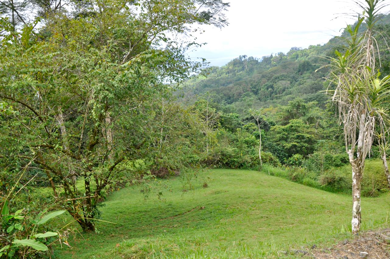 0 bed Land For Sale in Uvita, Puntarenas - thumb 10