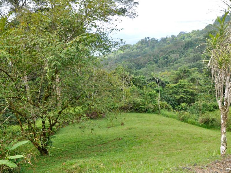 0 bed Land For Sale in Uvita, Puntarenas - thumb 10