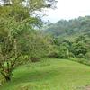  - Property with Waterfall and Concession for Legal Water