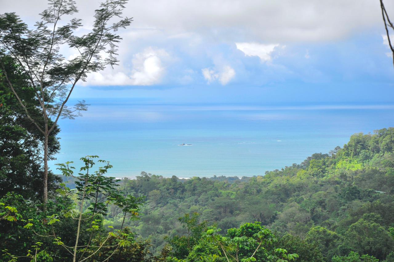 0 bed Land For Sale in Uvita, Puntarenas - thumb 1