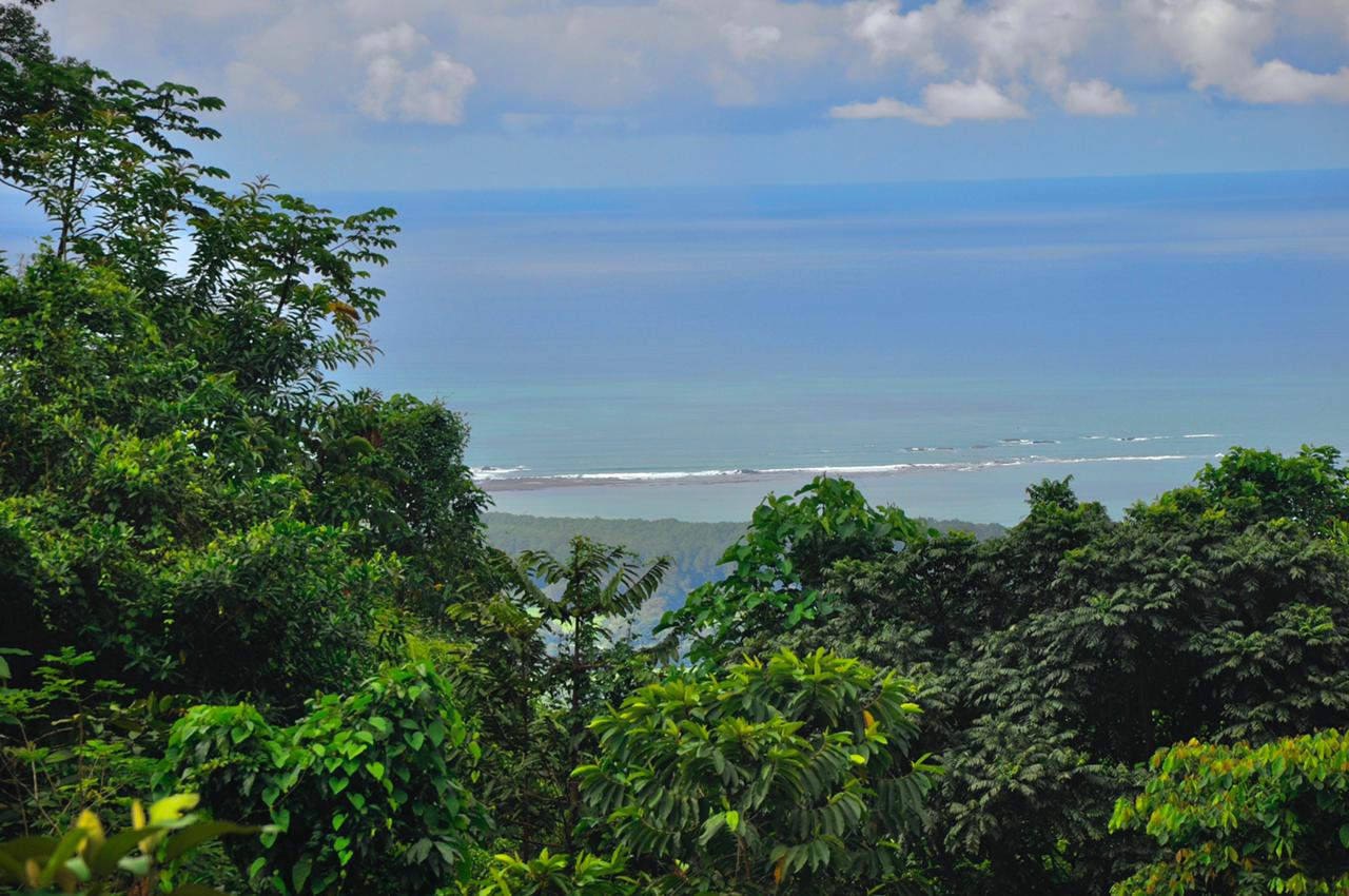 0 bed Land For Sale in Uvita, Puntarenas - thumb 7