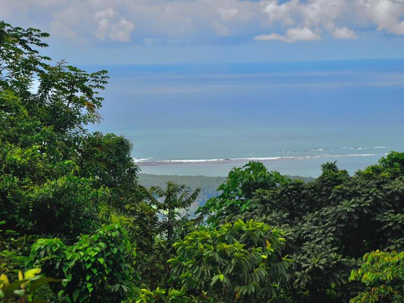 0 bed Land For Sale in Uvita, Puntarenas - thumb 7