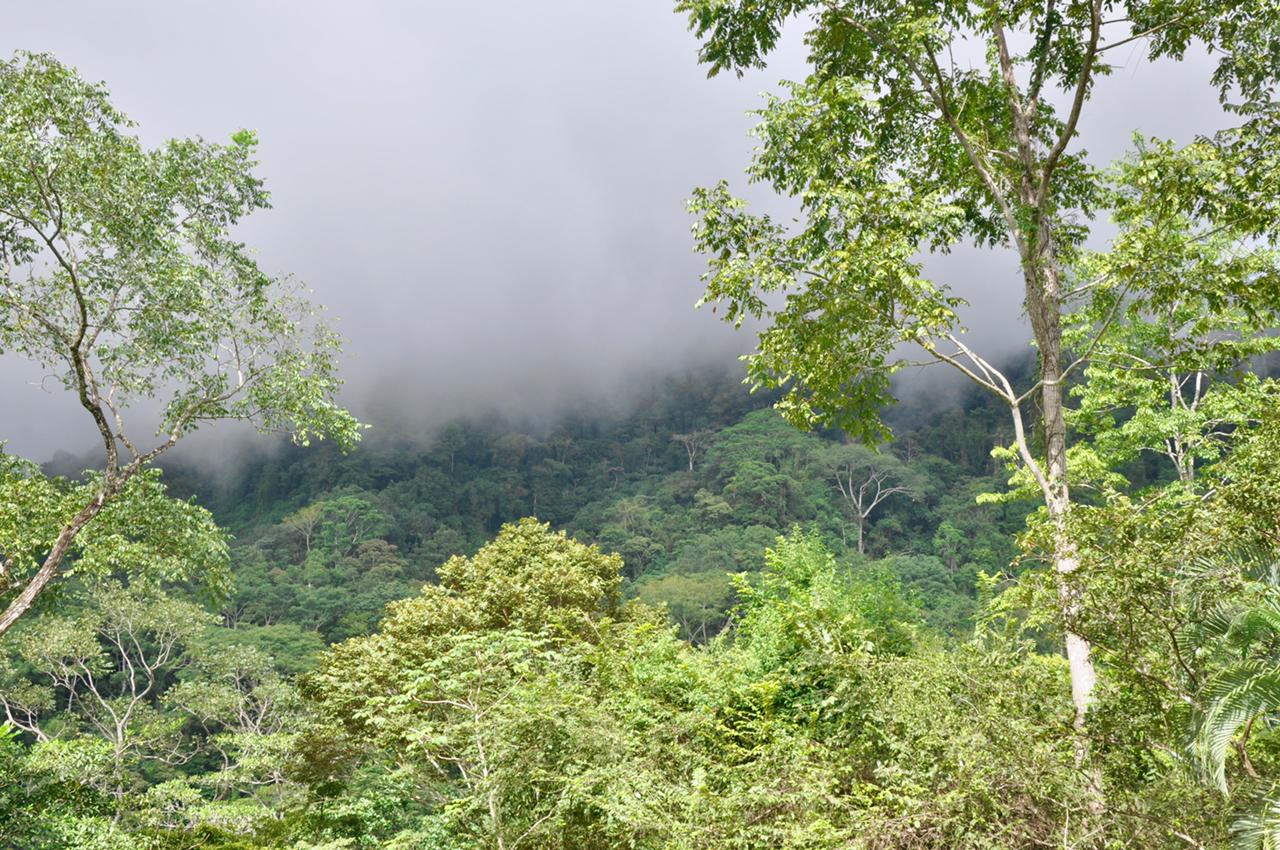 0 bed Land For Sale in Uvita, Puntarenas - thumb 4