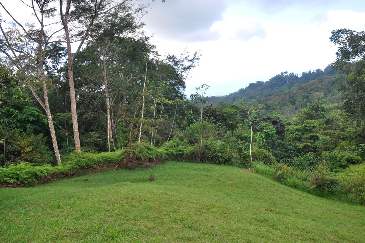 0 bed Land For Sale in Uvita, Puntarenas - thumb 5