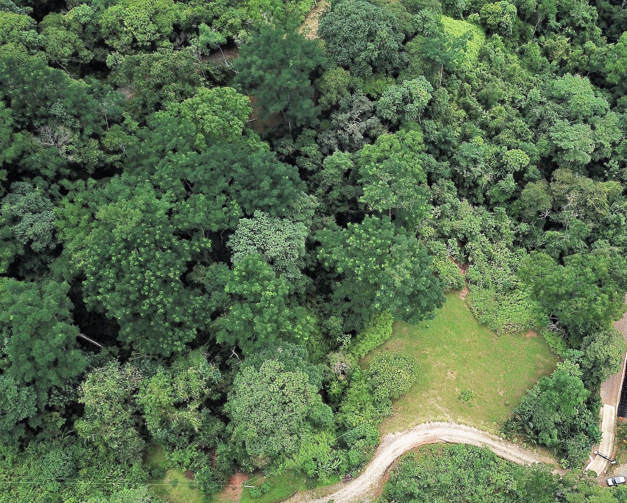 0 bed Land For Sale in Uvita, Puntarenas - thumb 13