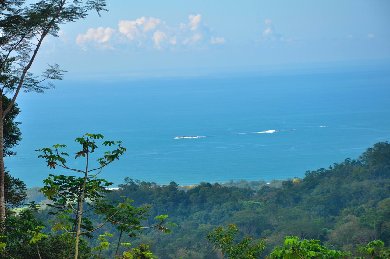 0 bed Land For Sale in Uvita, Puntarenas - thumb 8