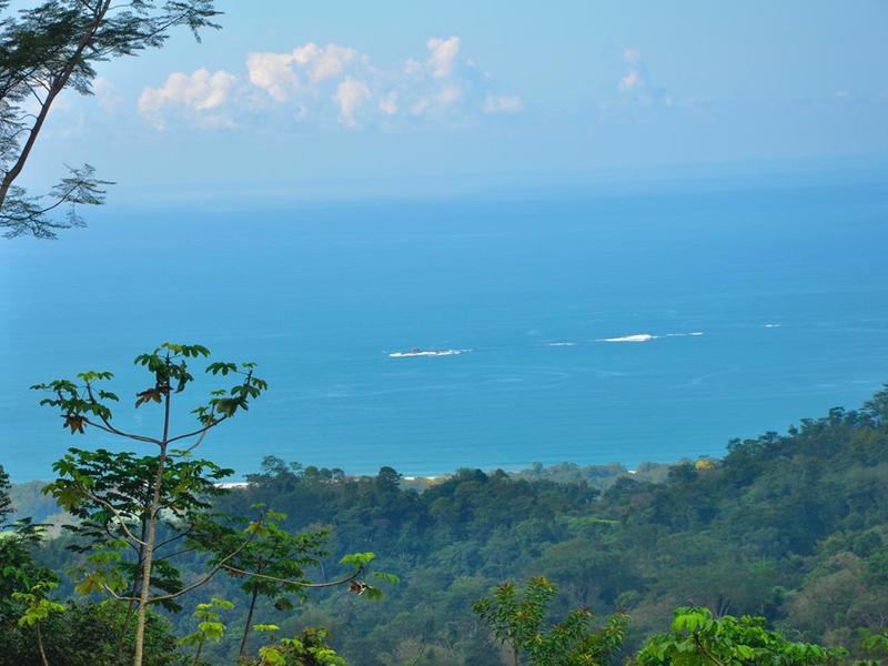 0 bed Land For Sale in Uvita, Puntarenas - thumb 8