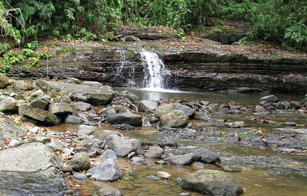 0 bed Land For Sale in Uvita, Puntarenas - thumb 9