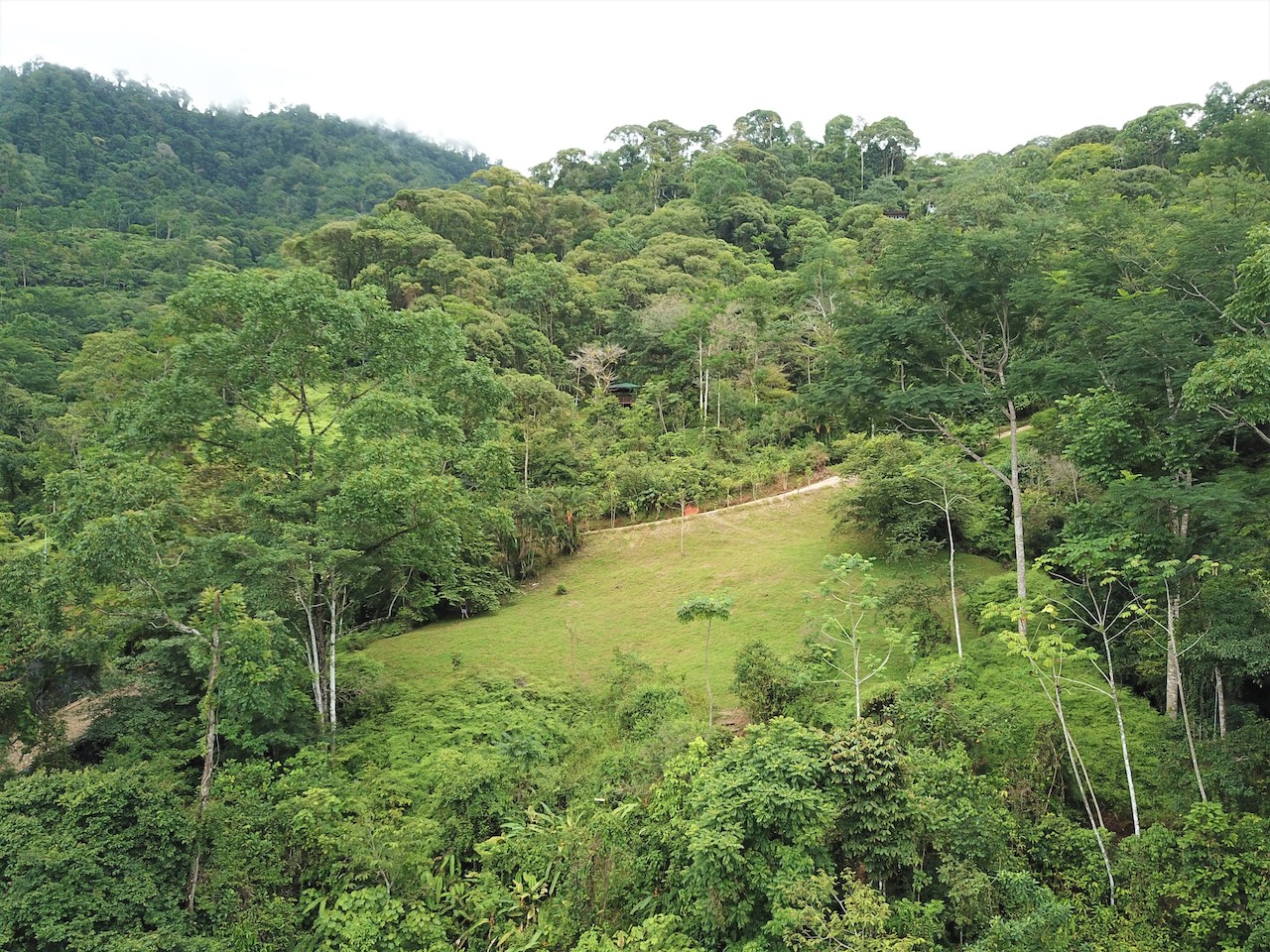 0 bed Land For Sale in Uvita, Puntarenas - thumb 11