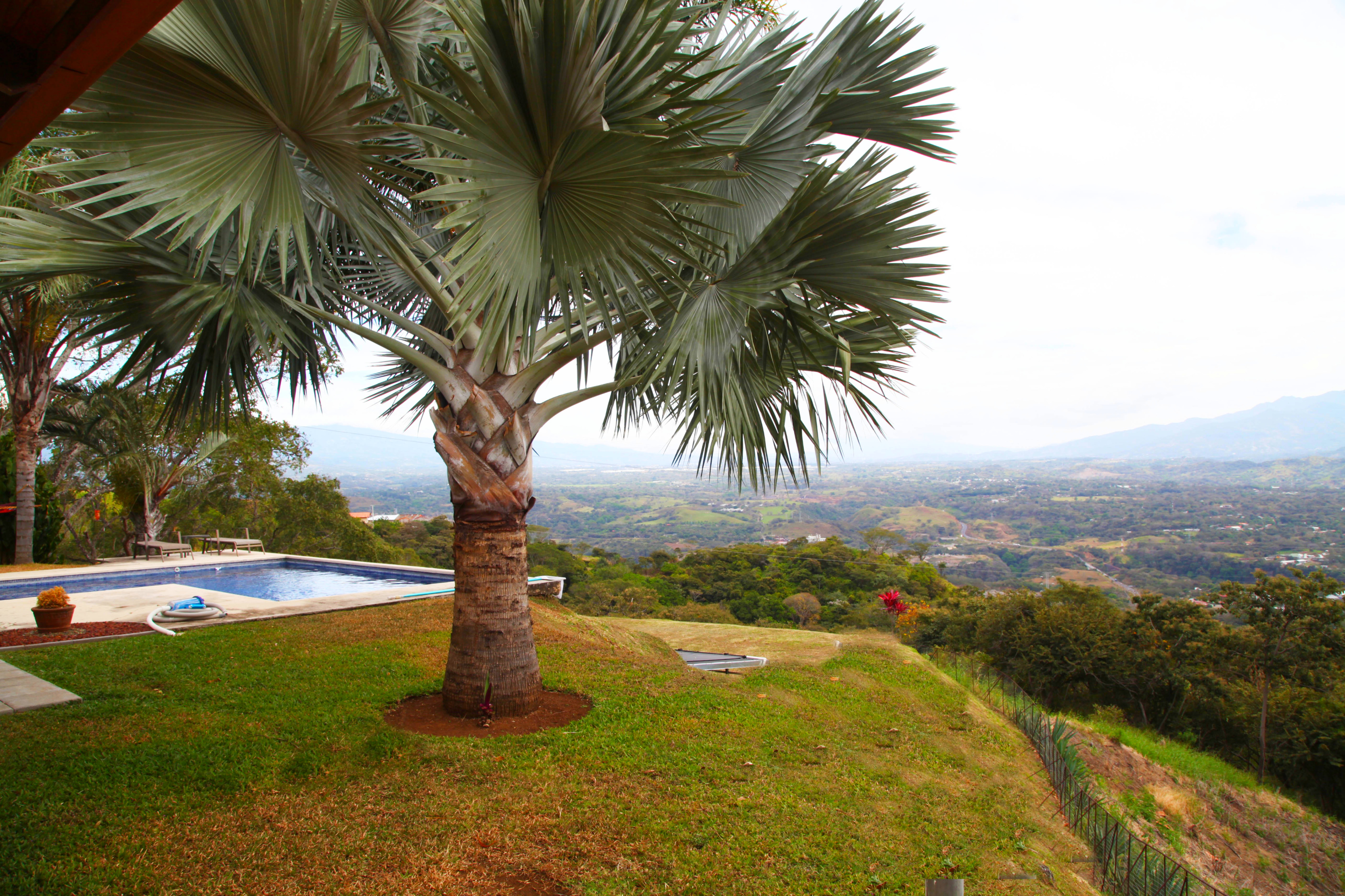 4 bed Single Family Homes For Sale in Atenas, Alajuela - thumb 16