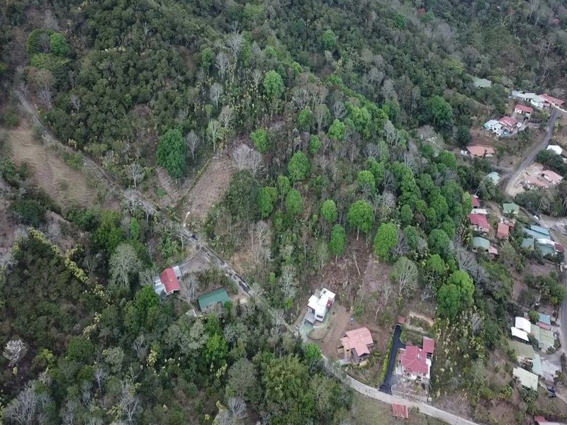 0 bed Land For Sale in Palmares, Alajuela - 1