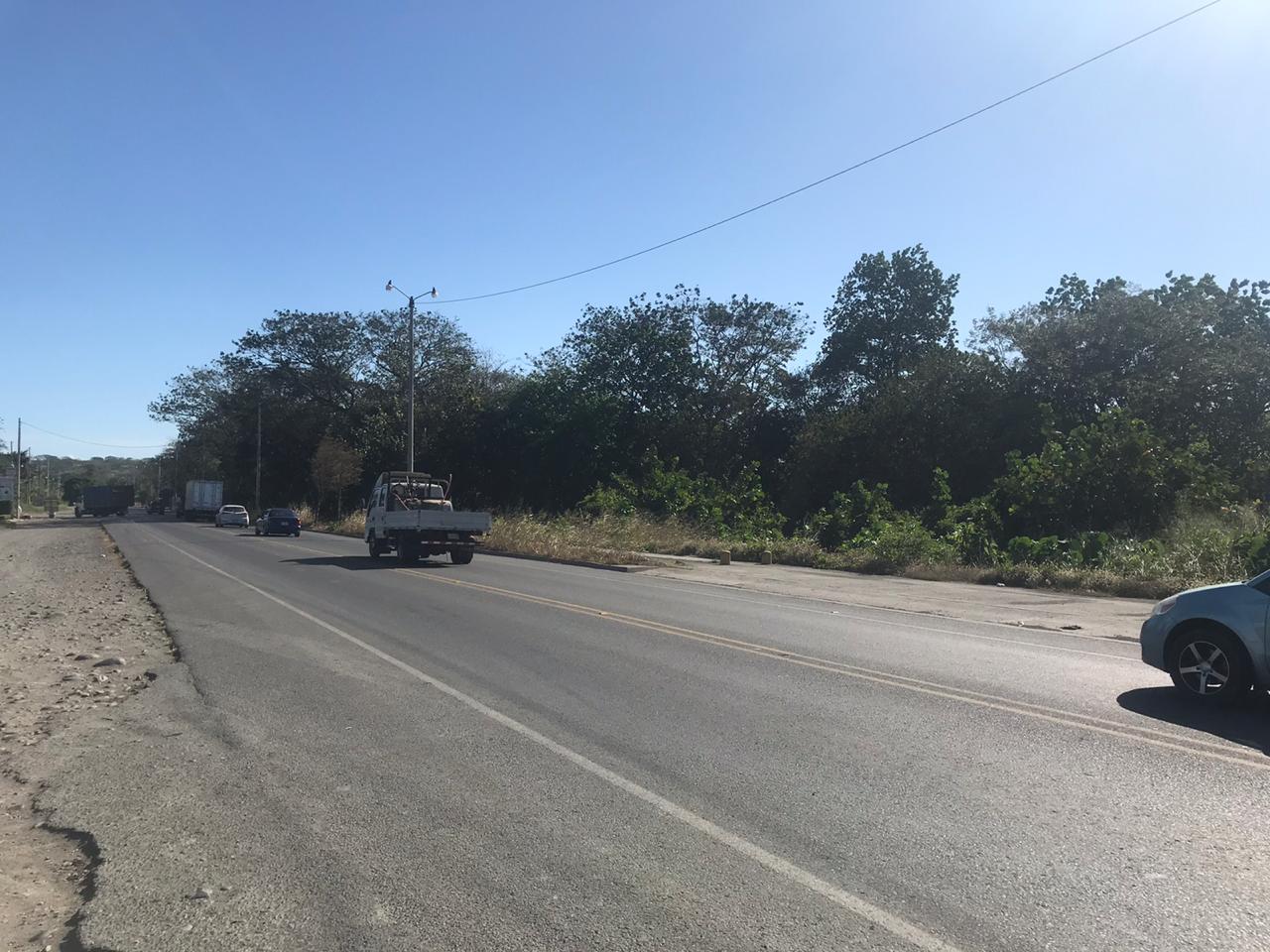 0 bed Land For Sale in Boca De Barranca, Puntarenas - thumb 7