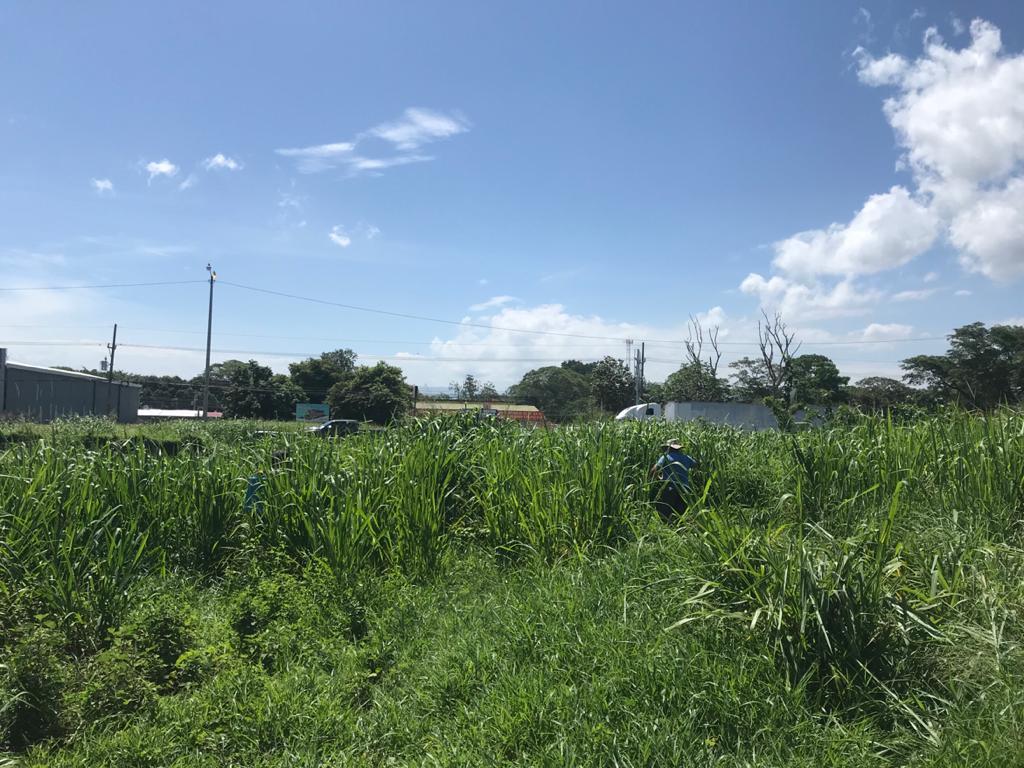 0 bed Land For Sale in Boca De Barranca, Puntarenas - thumb 3