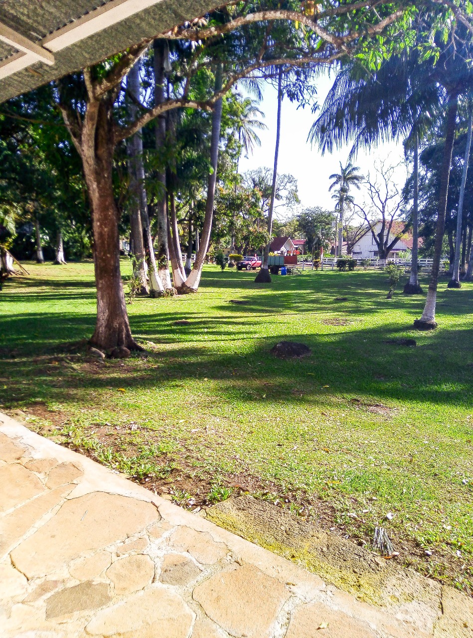 0 bed Land For Sale in Canas, Guanacaste - thumb 4