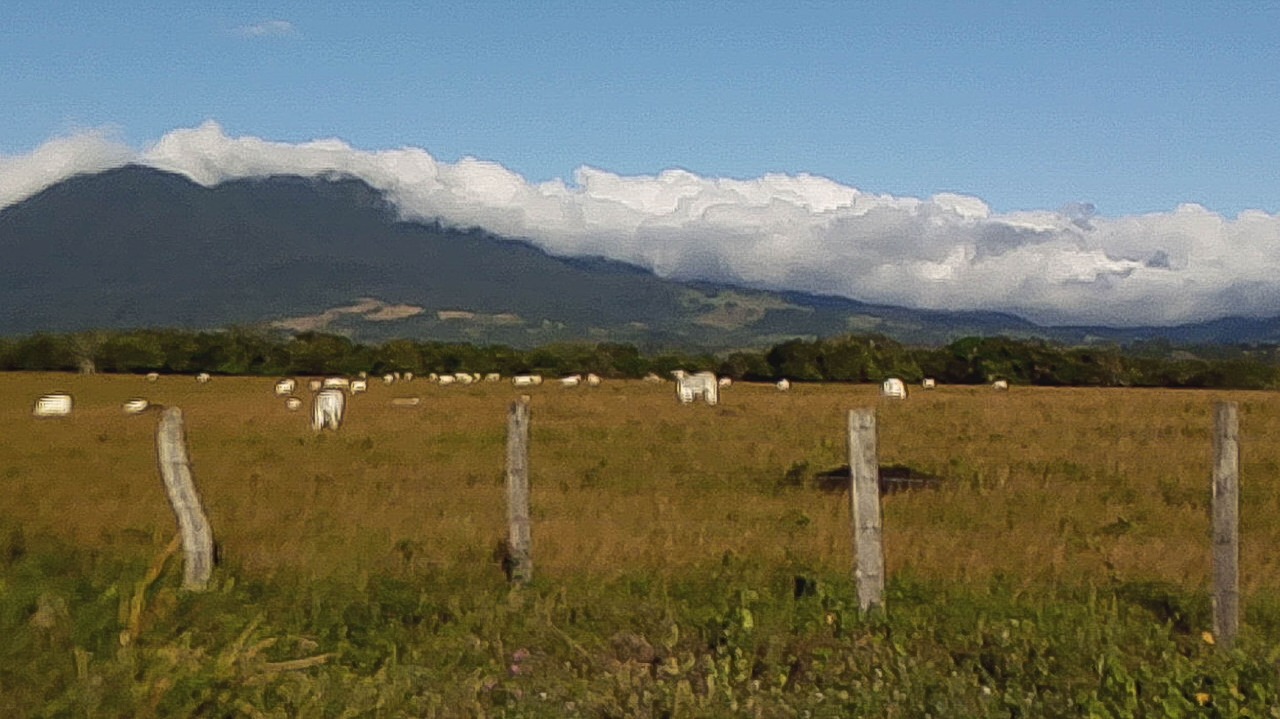 0 bed Land For Sale in Canas, Guanacaste - thumb 20