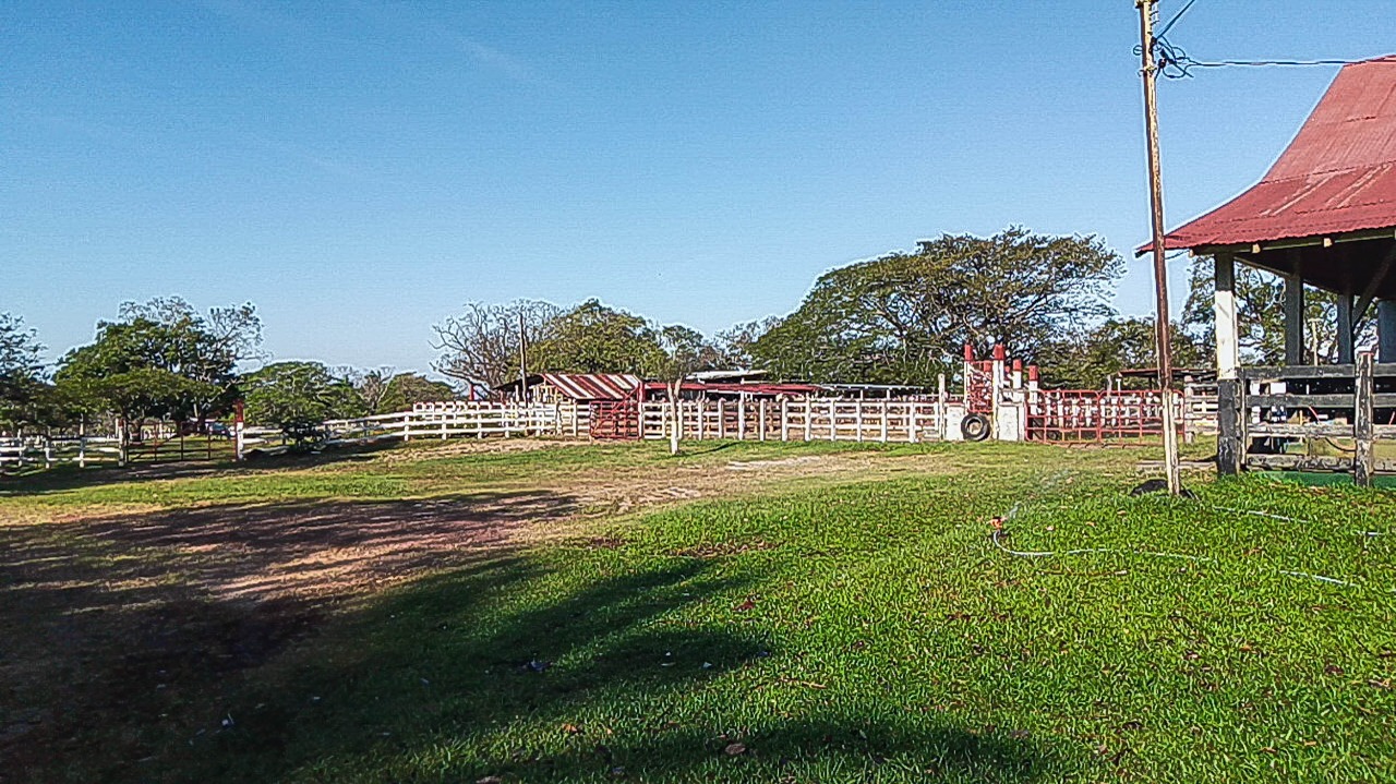 0 bed Land For Sale in Canas, Guanacaste - thumb 1