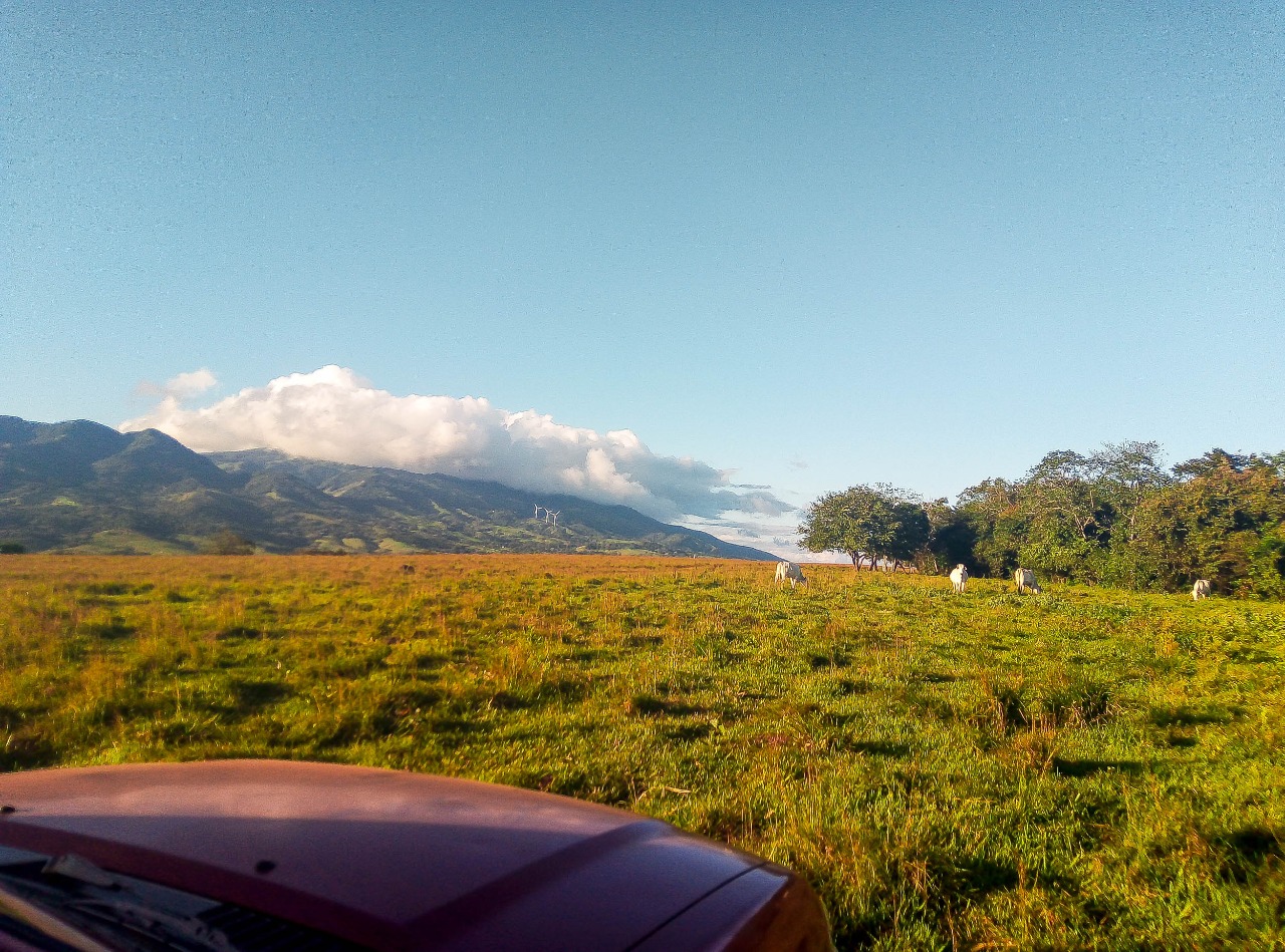 0 bed Land For Sale in Canas, Guanacaste - thumb 24