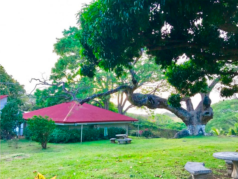 0 bed Land For Sale in Canas, Guanacaste - thumb 21