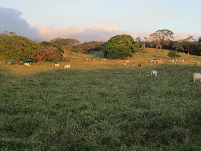 0 bed Land For Sale in Canas, Guanacaste - thumb 11