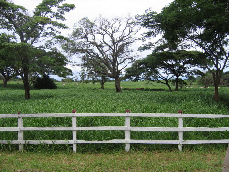 0 bed Land For Sale in Canas, Guanacaste - thumb 12