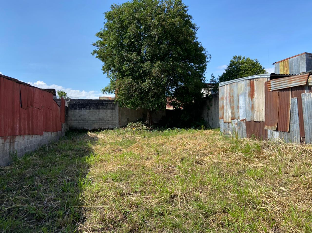 0 bed Land For Sale in Zapote, San Jose - thumb 5
