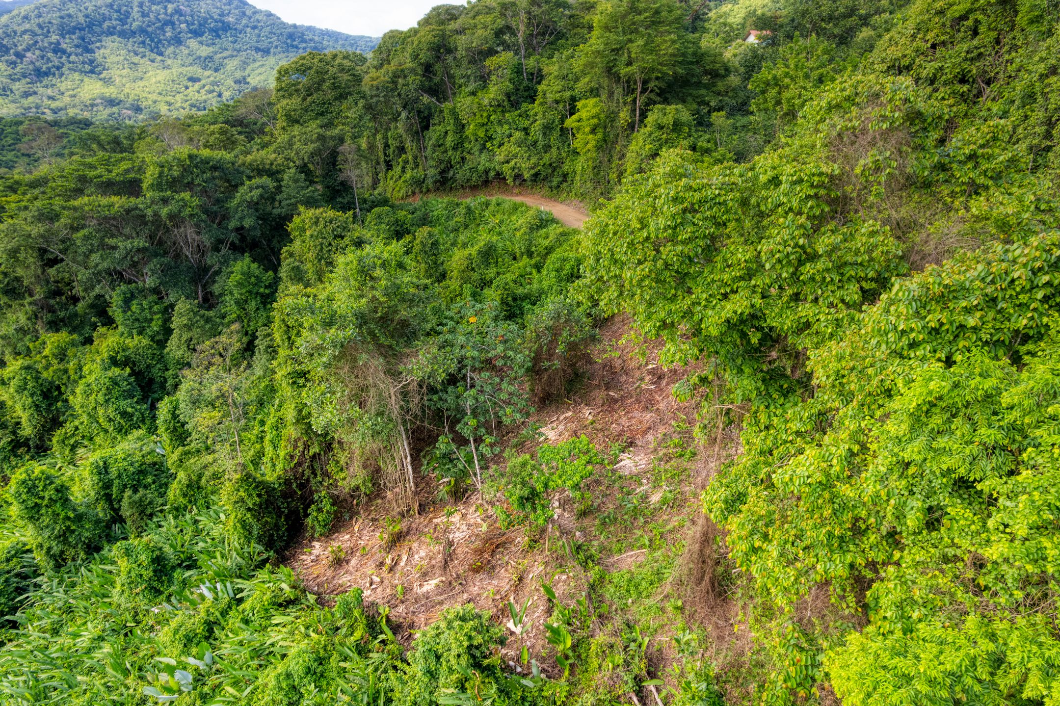 0 bed Land For Sale in Dominical, Puntarenas - thumb 5