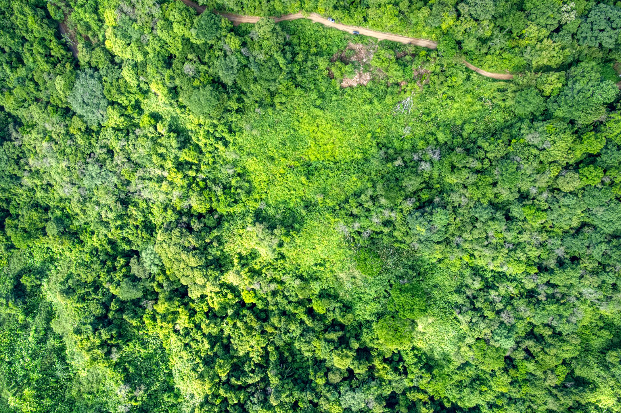 0 bed Land For Sale in Dominical, Puntarenas - thumb 12