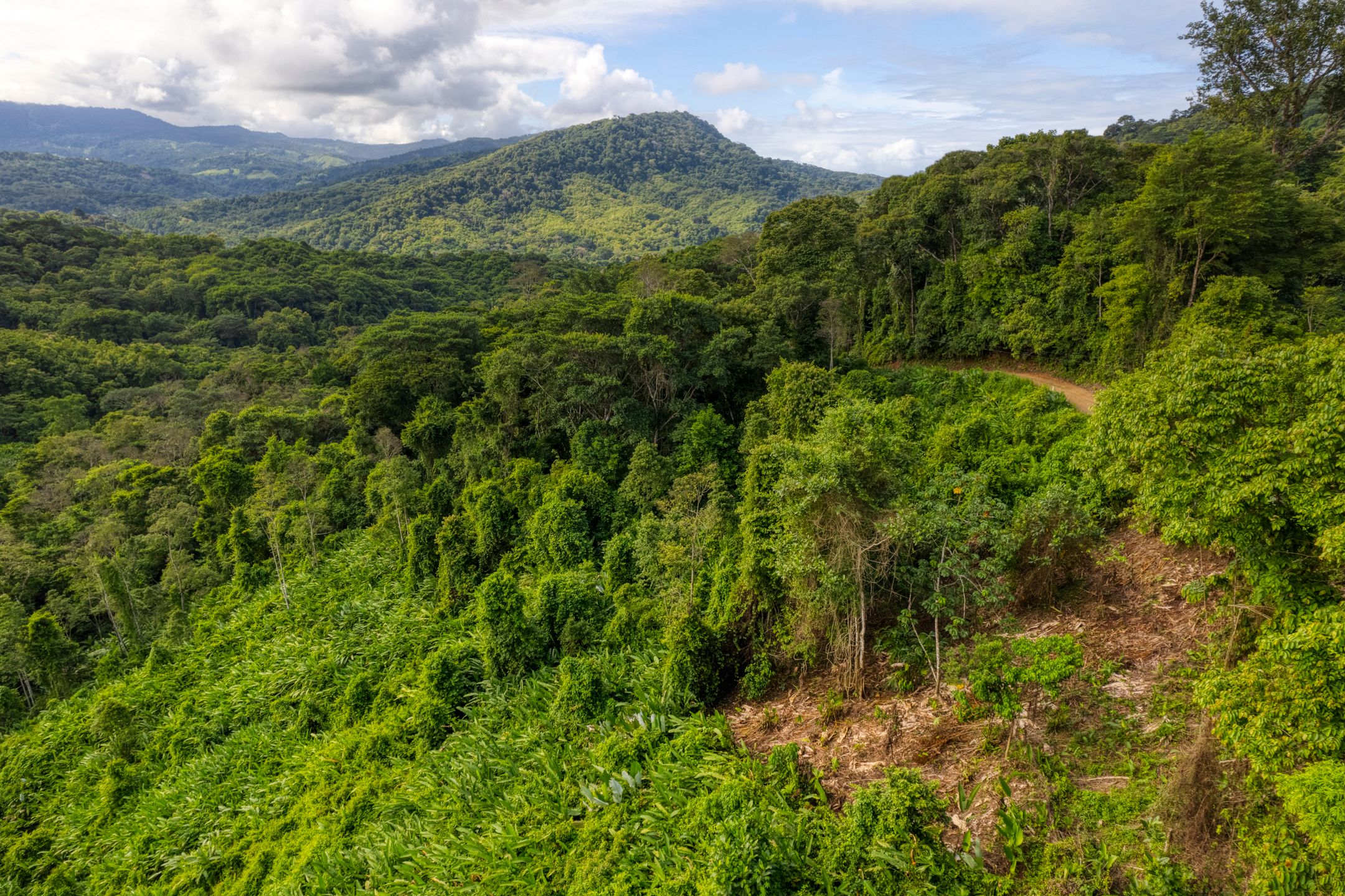 0 bed Land For Sale in Dominical, Puntarenas - thumb 7