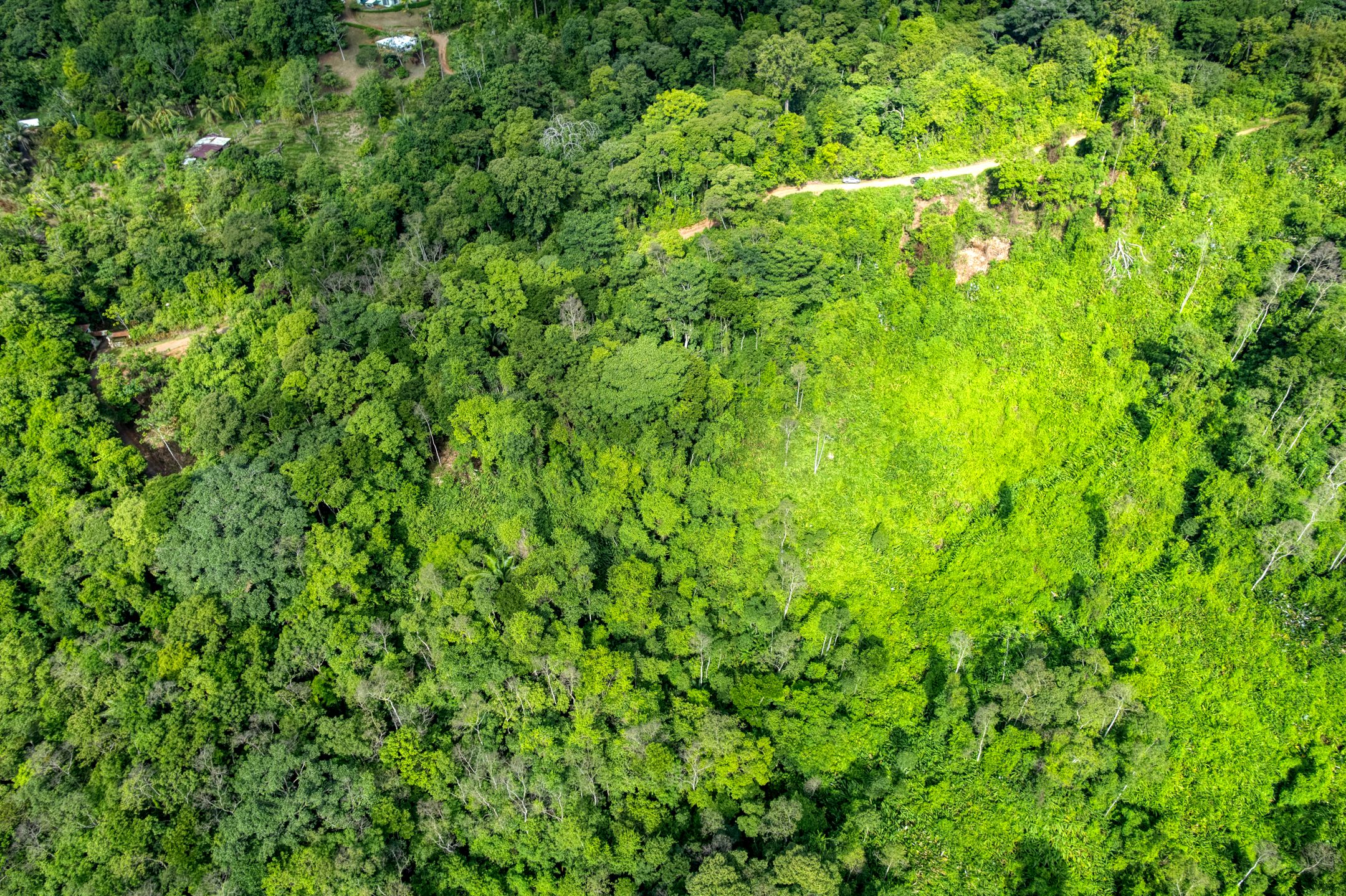 0 bed Land For Sale in Dominical, Puntarenas - thumb 11