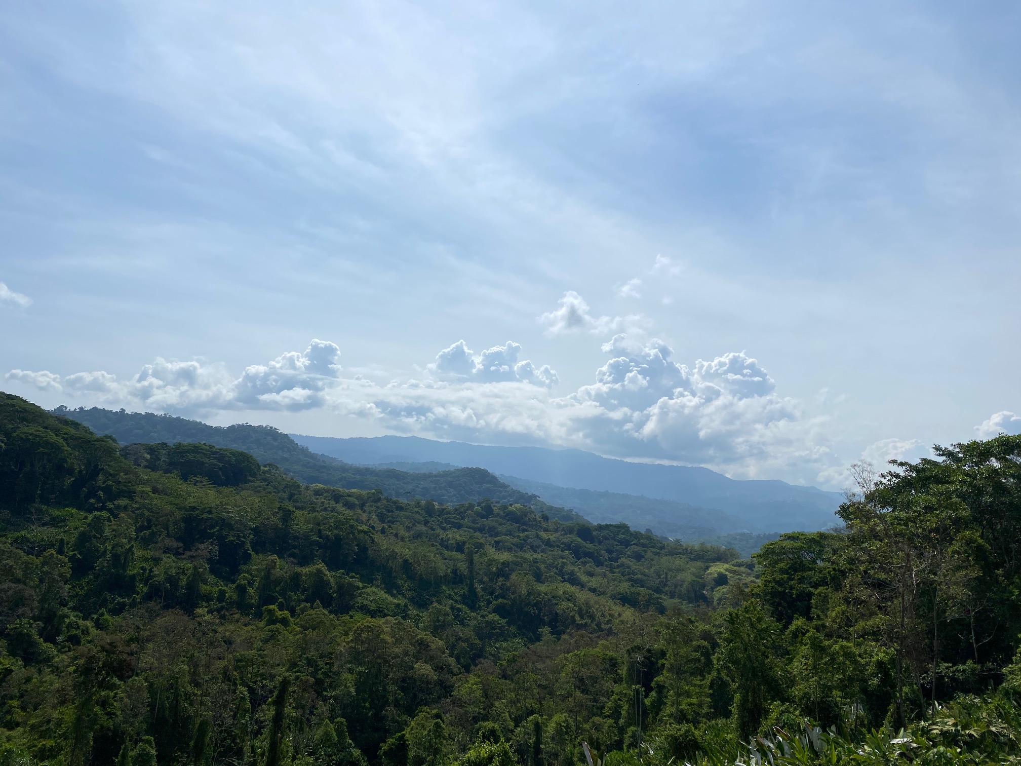 0 bed Land For Sale in Dominical, Puntarenas - thumb 4