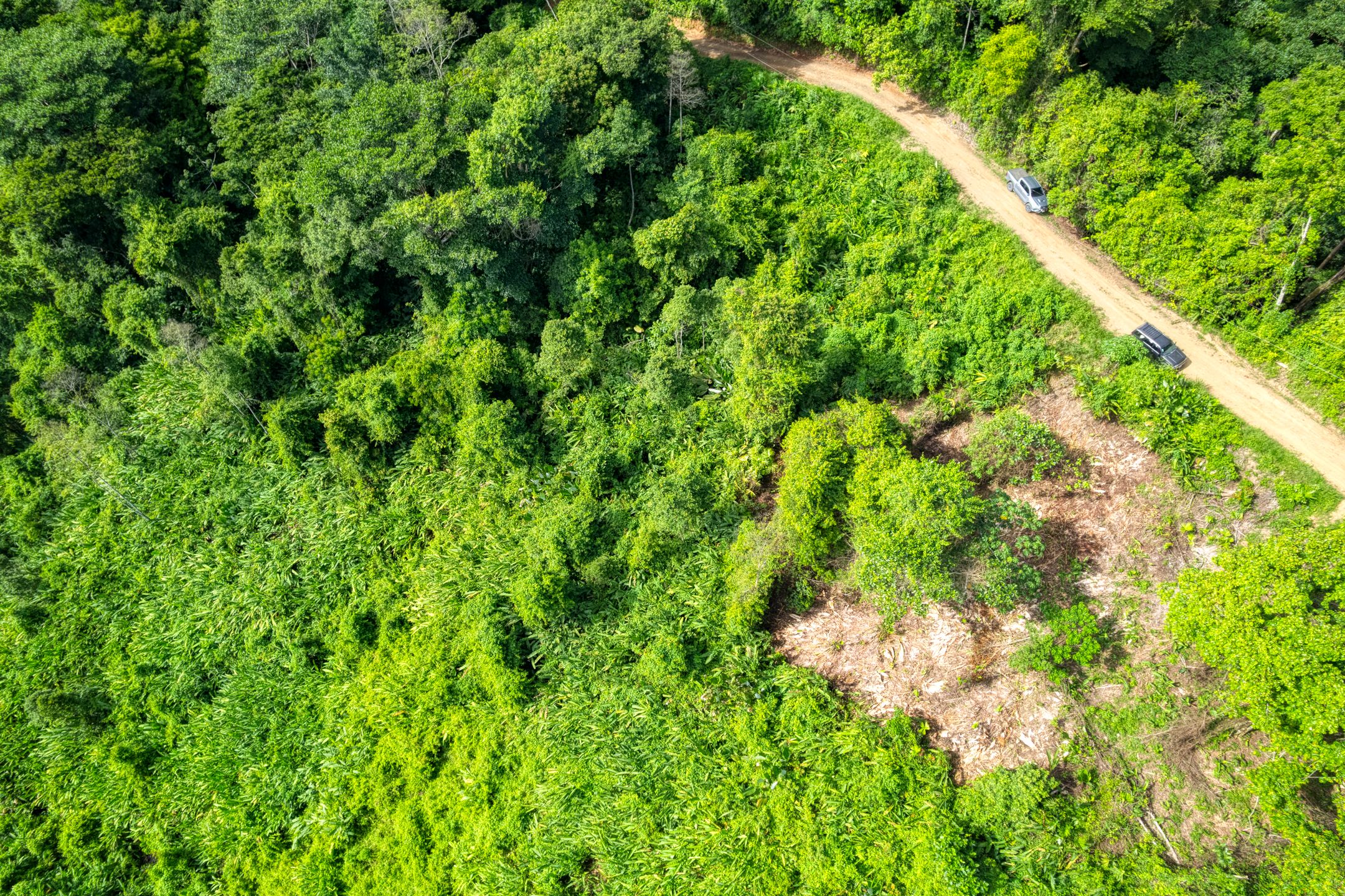 0 bed Land For Sale in Dominical, Puntarenas - thumb 9