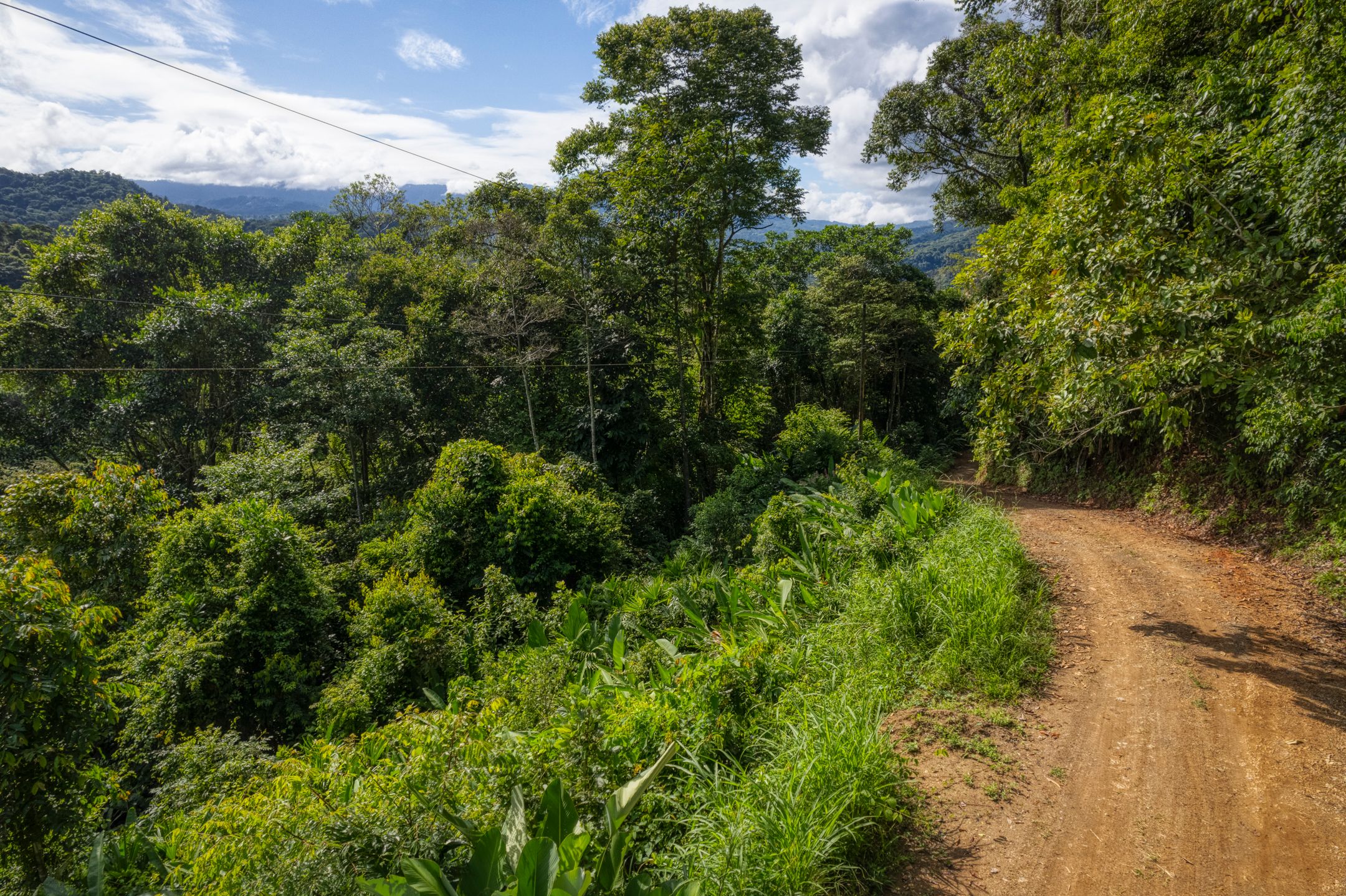 0 bed Land For Sale in Dominical, Puntarenas - thumb 8