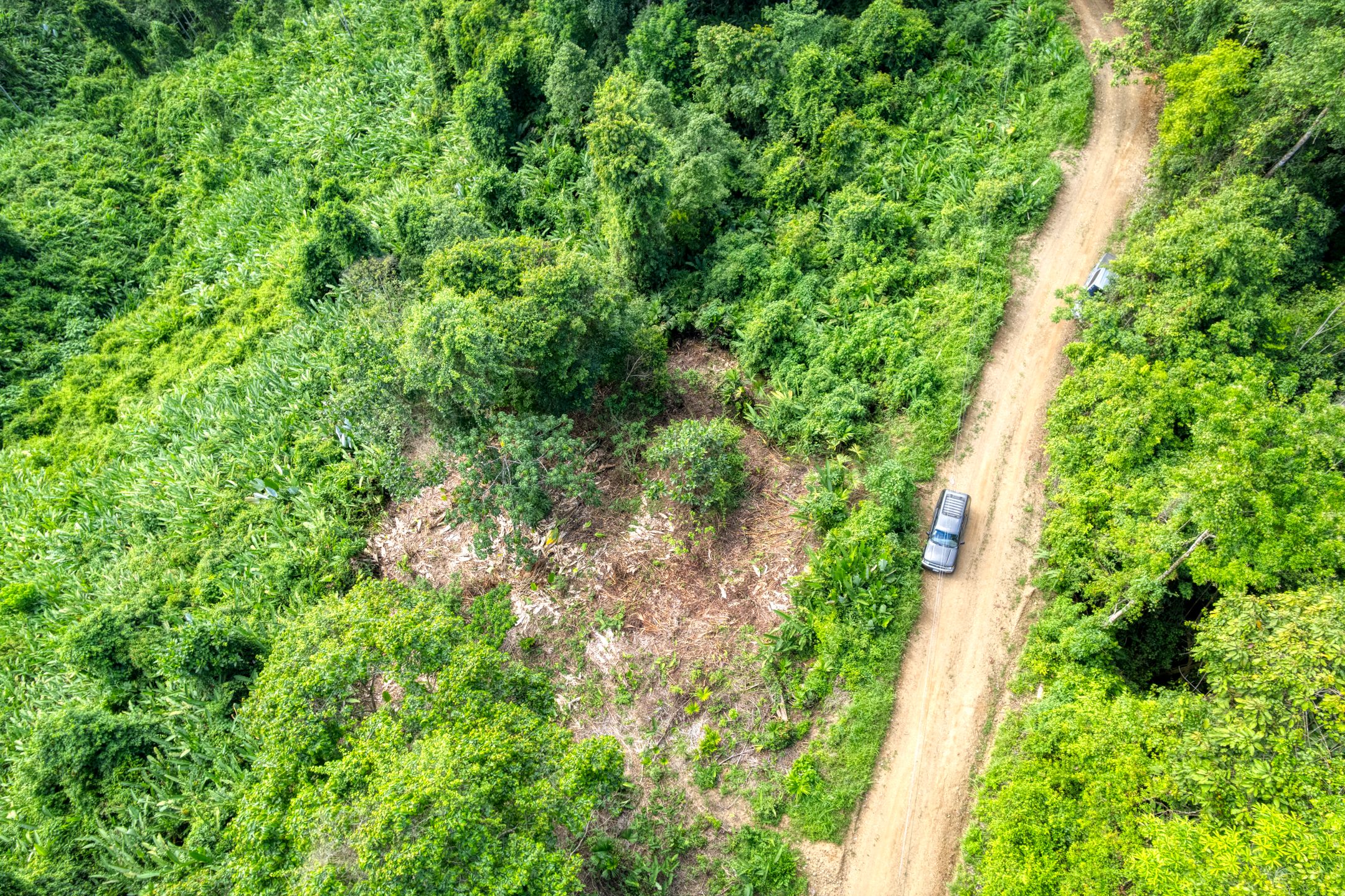 0 bed Land For Sale in Dominical, Puntarenas - thumb 13