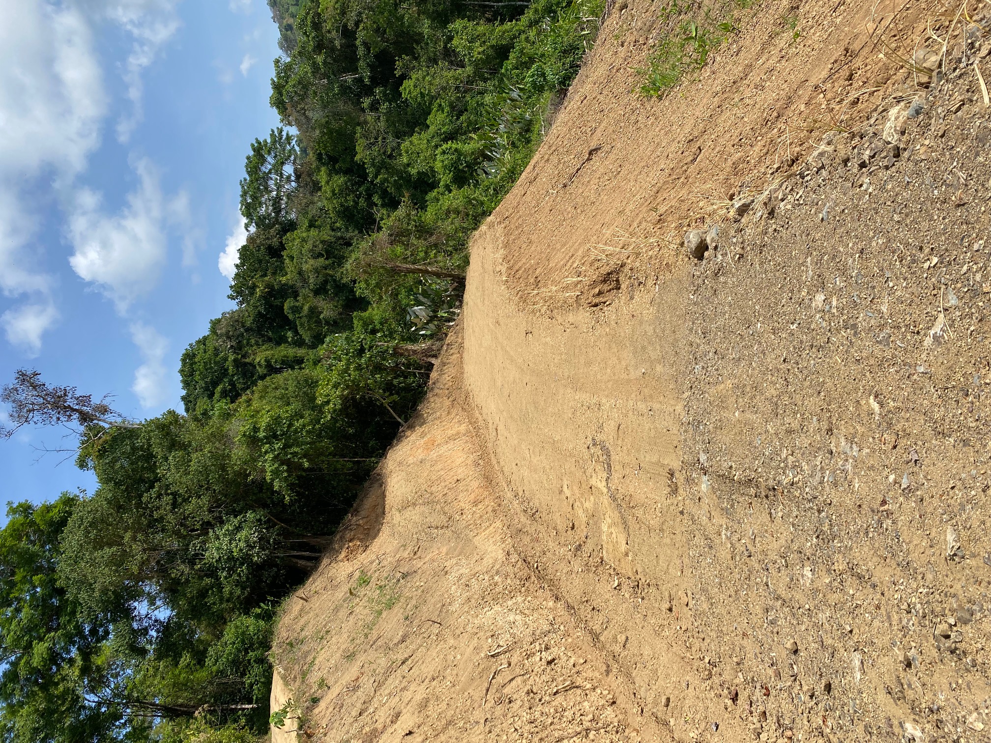 0 bed Land For Sale in Dominical, Puntarenas - thumb 3