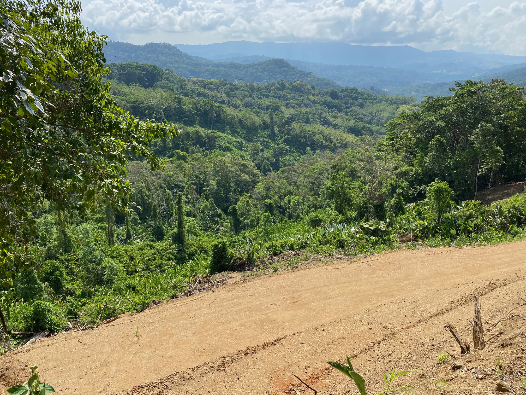 0 bed Land For Sale in Dominical, Puntarenas - thumb 2