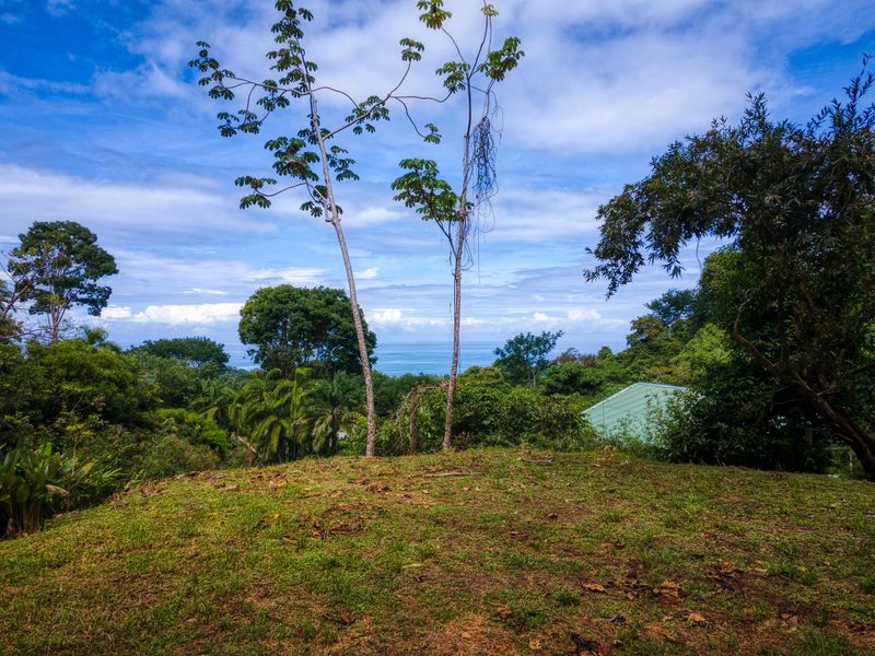 Costa Rica Real Estate Homes for Sale Beachfront Houses Short