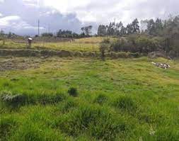 0 bed Land For Sale in Coronado, San Jose - thumb 3