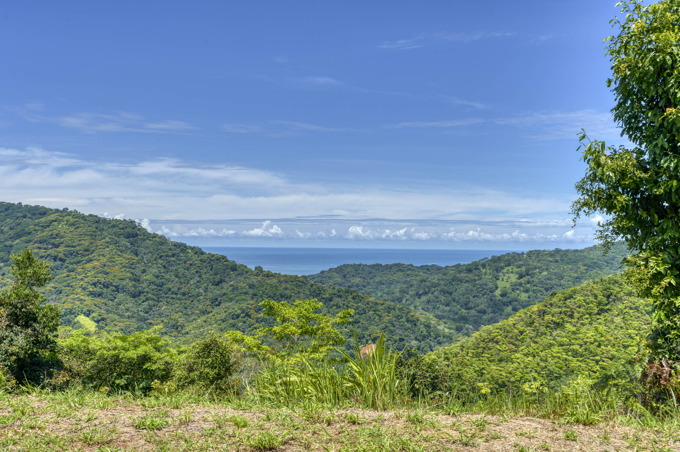 0 bed Land For Sale in Dominical, Puntarenas - thumb 2