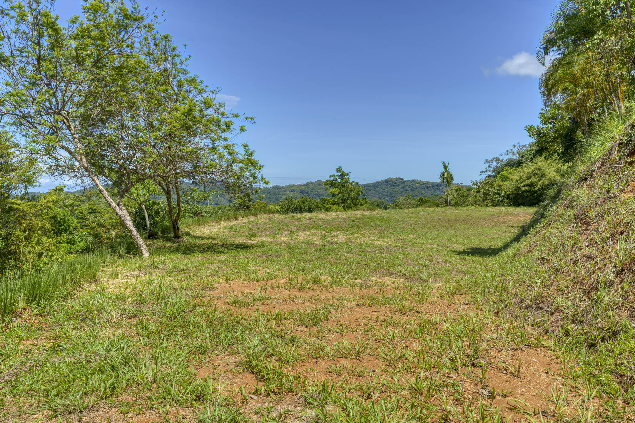 0 bed Land For Sale in Dominical, Puntarenas - thumb 27