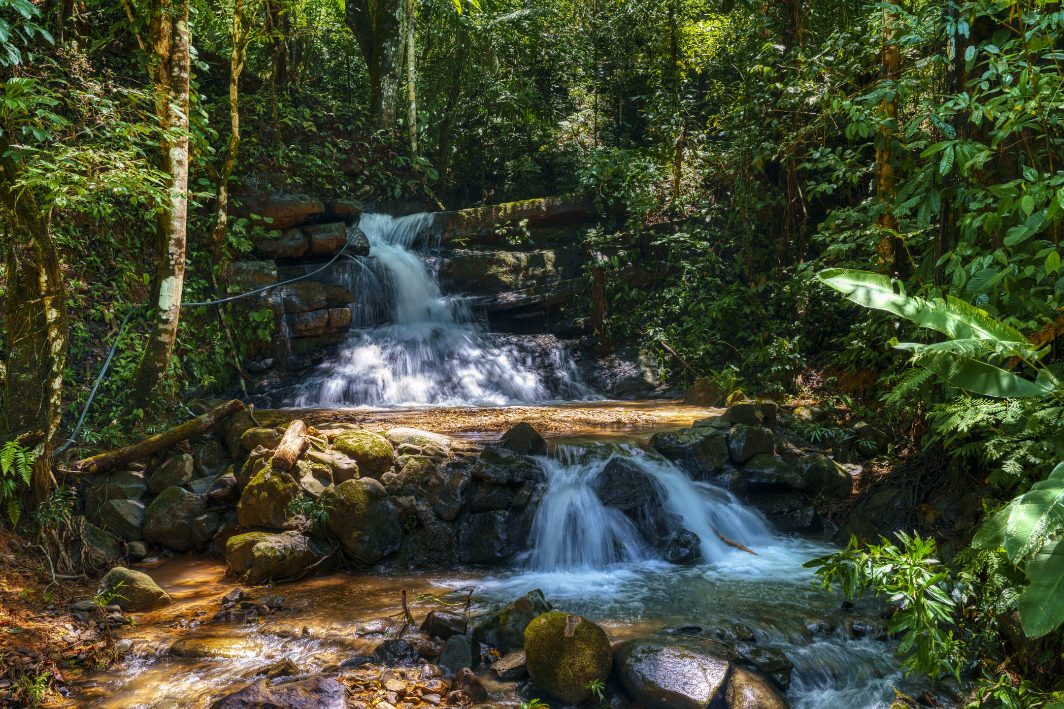 0 bed Land For Sale in Dominical, Puntarenas - thumb 24