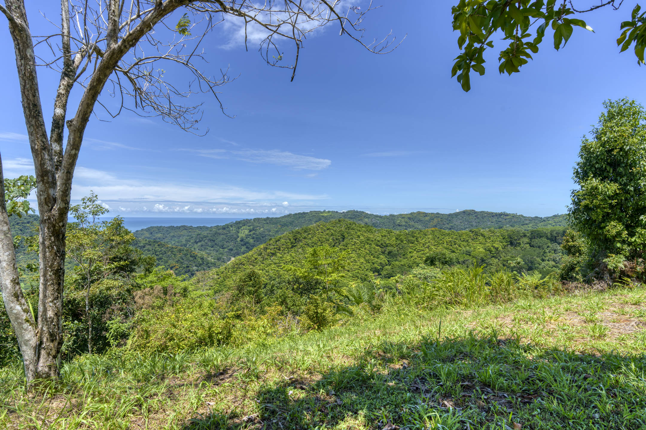 0 bed Land For Sale in Dominical, Puntarenas - thumb 8