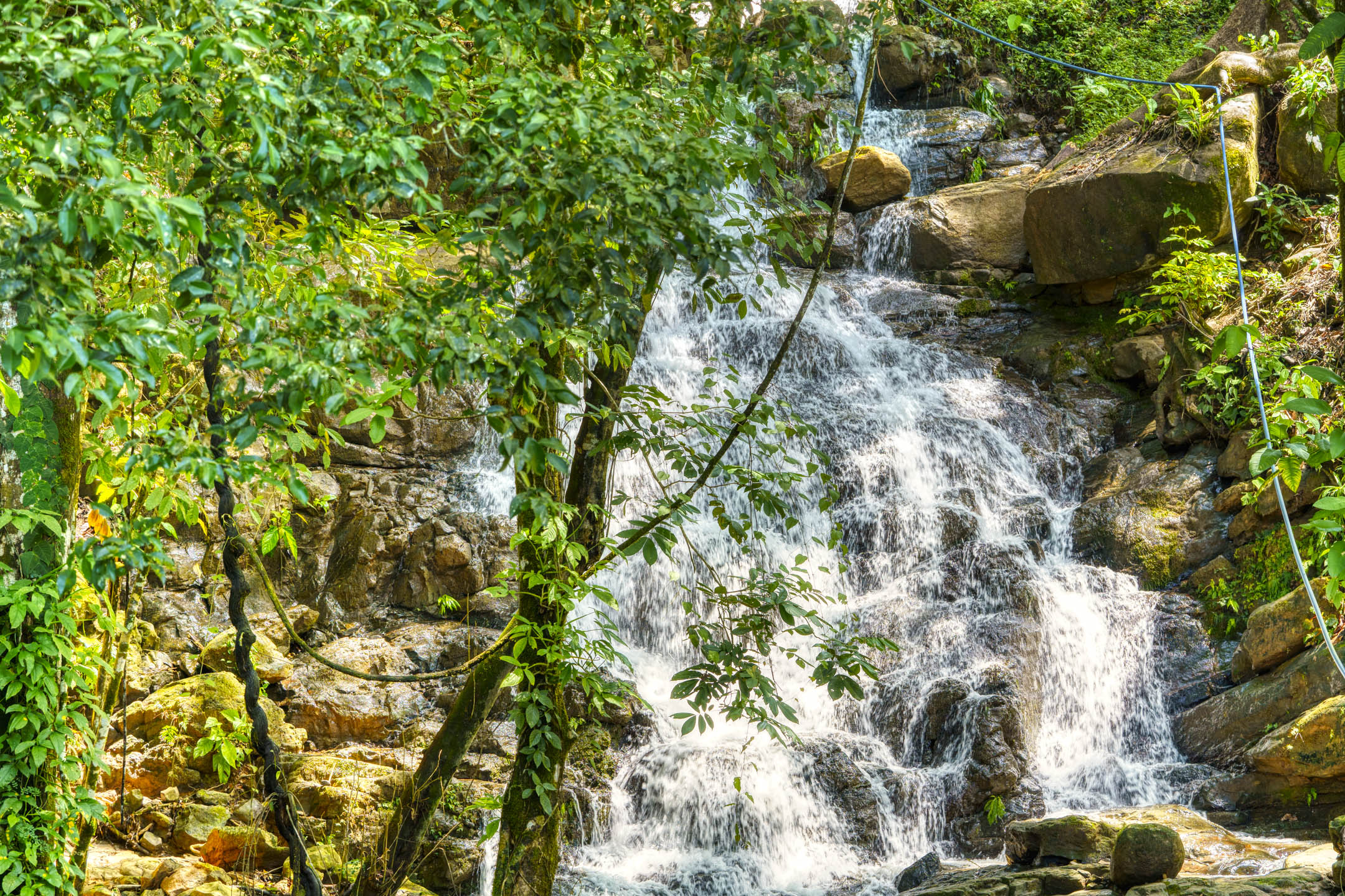 0 bed Land For Sale in Dominical, Puntarenas - thumb 4