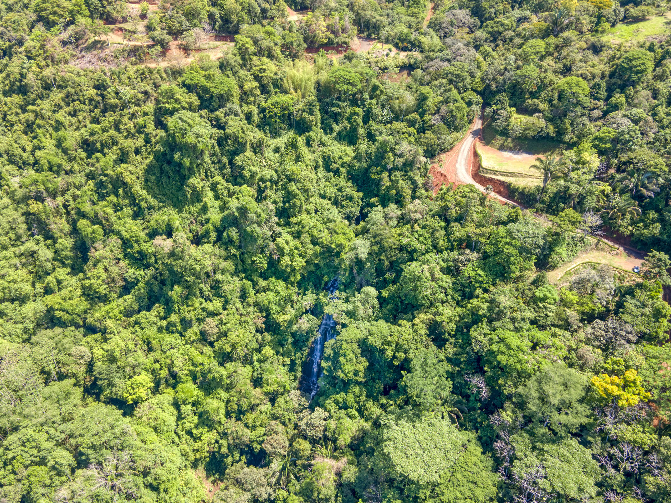 0 bed Land For Sale in Dominical, Puntarenas - thumb 30