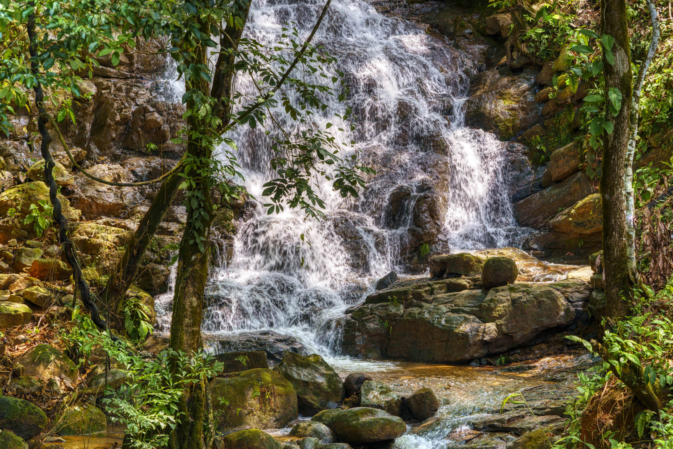 0 bed Land For Sale in Dominical, Puntarenas - thumb 28