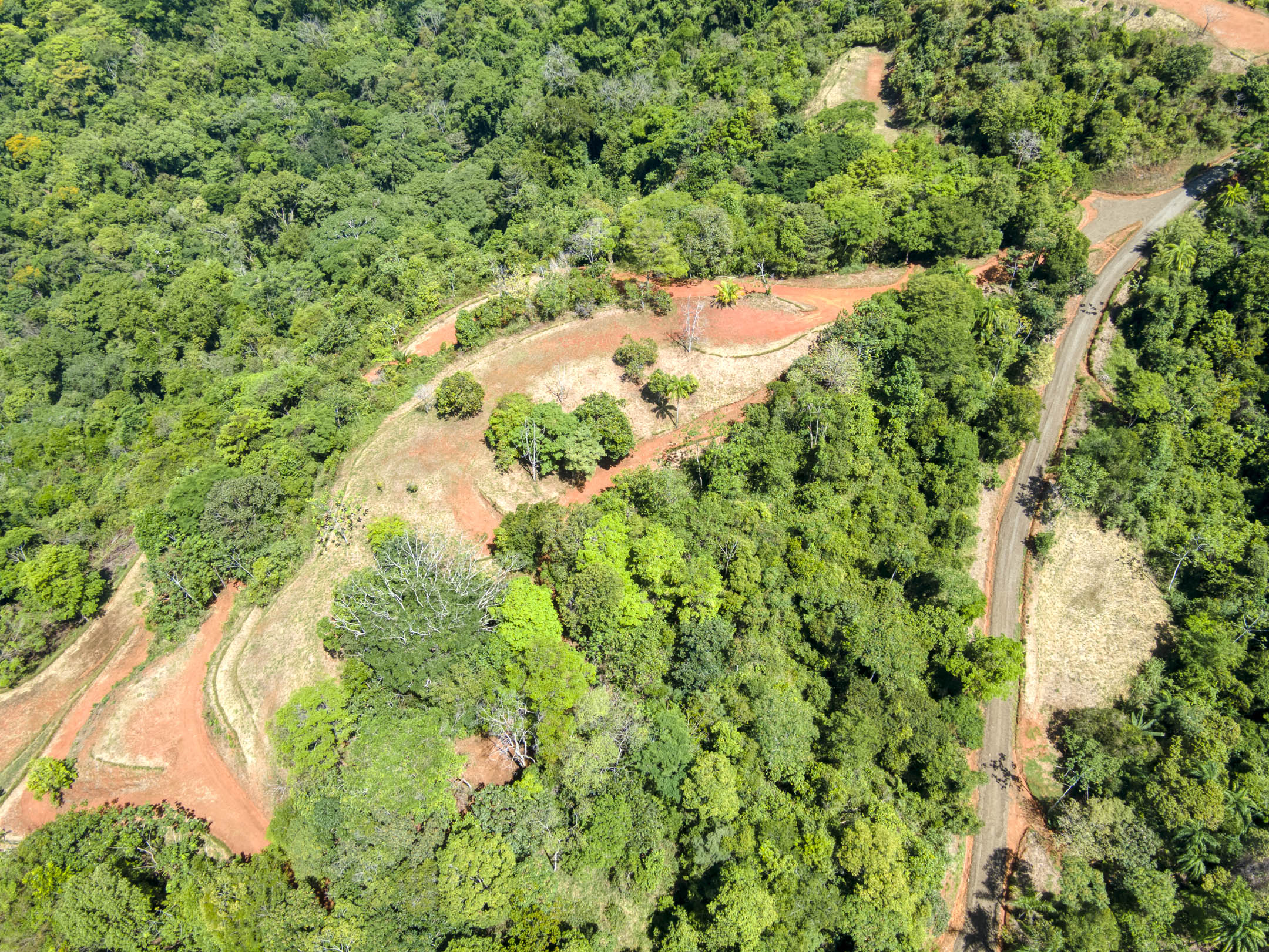 0 bed Land For Sale in Dominical, Puntarenas - thumb 9