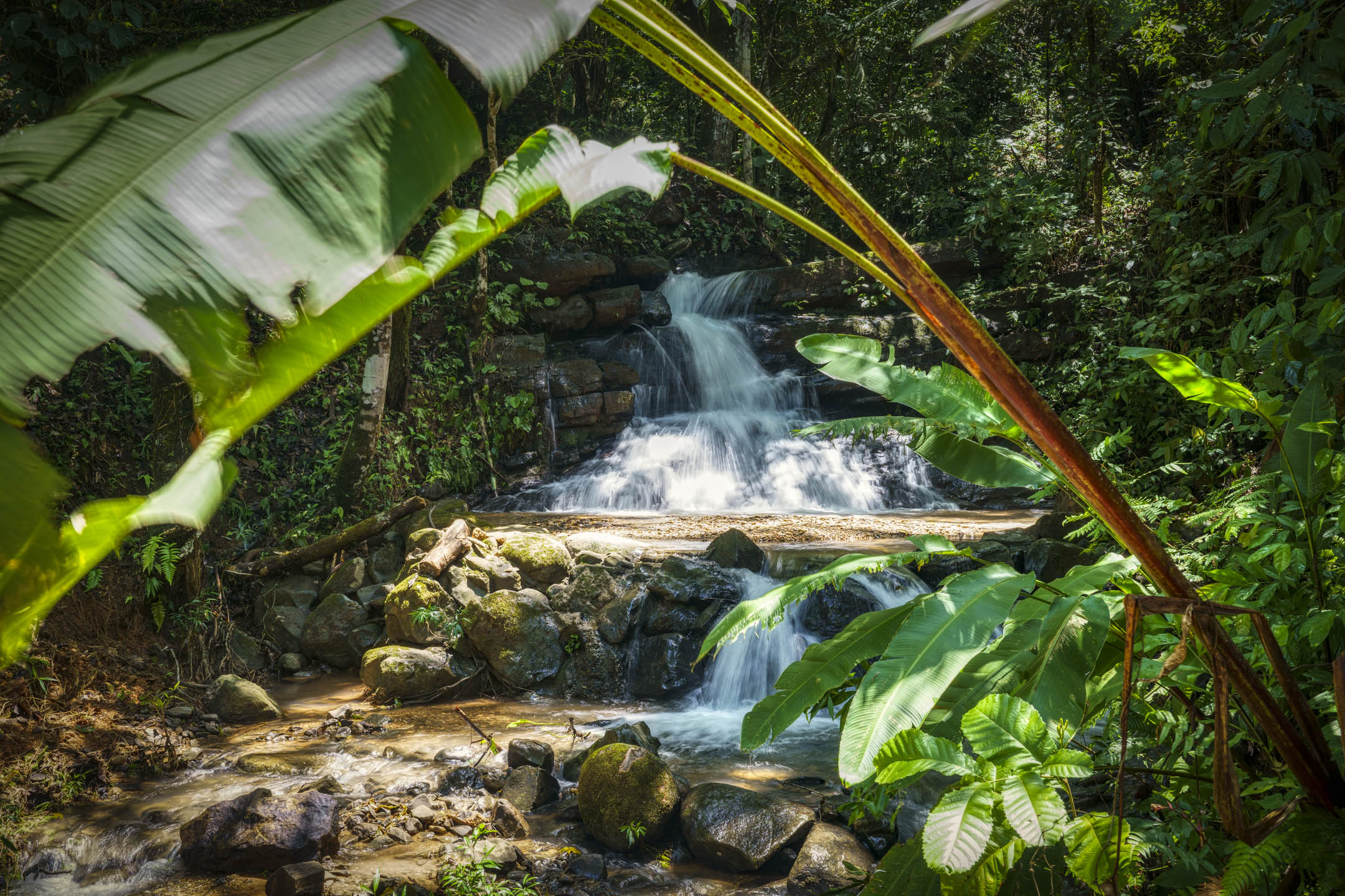 0 bed Land For Sale in Dominical, Puntarenas - thumb 11